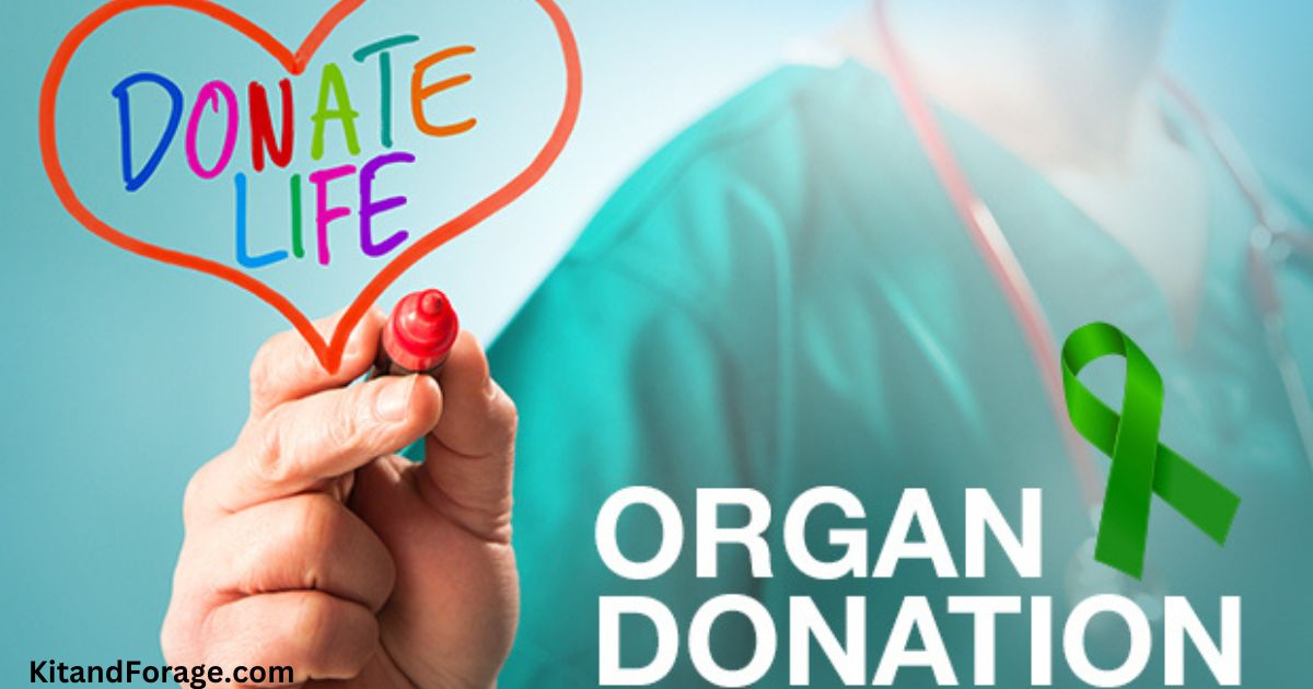 Why Organ Donation Is Important